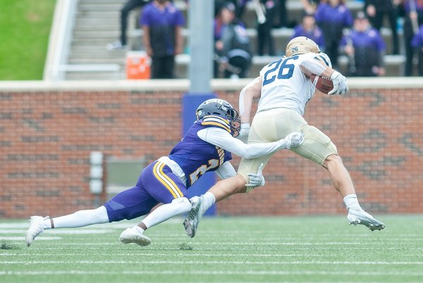 How Can UK Pet Owners Save Money on Pet Expenses?